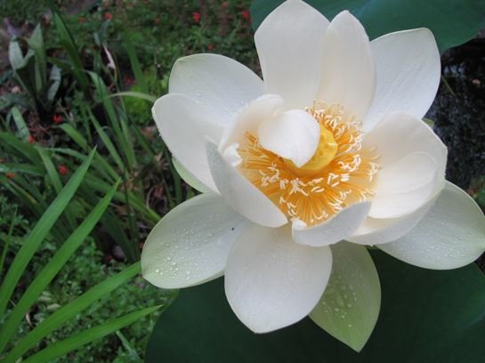 Dean Barrios - Photo 4