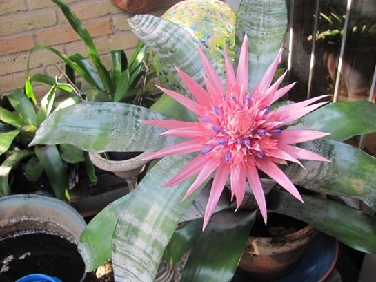 Dean Barrios - Photo 5