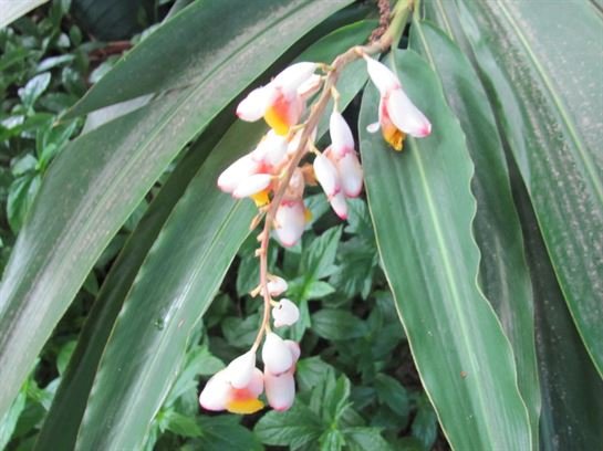 Dean Barrios — photo 8