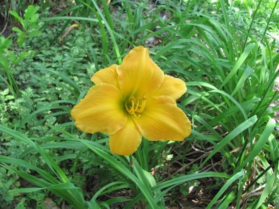 Dean Barrios — photo 11