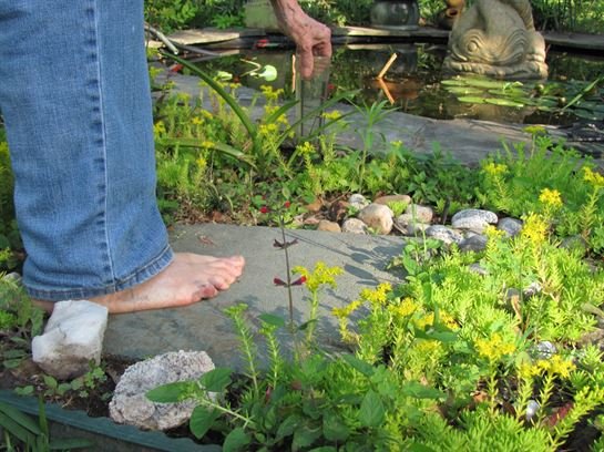 Dean Barrios - Photo 12