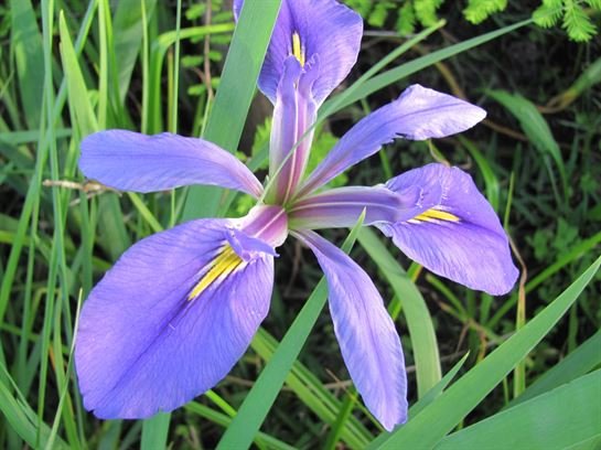 Dean Barrios — photo 19