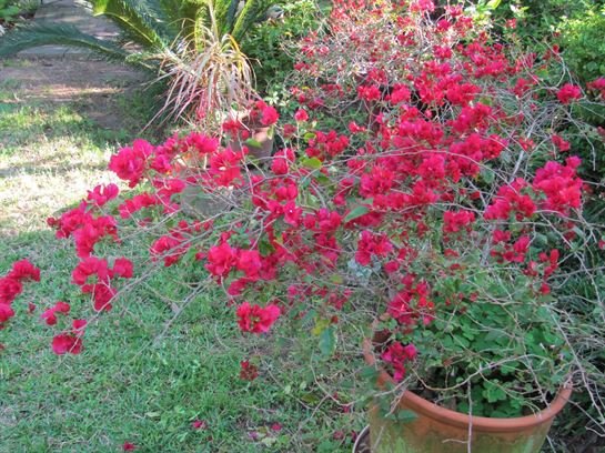 Dean Barrios — photo 22