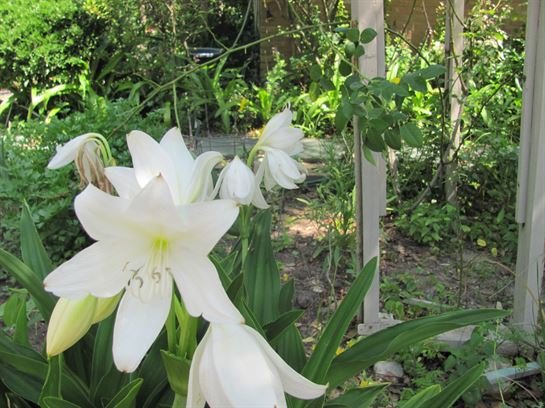 Dean Barrios — photo 24