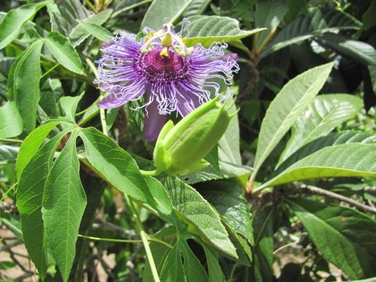 Dean Barrios — photo 26