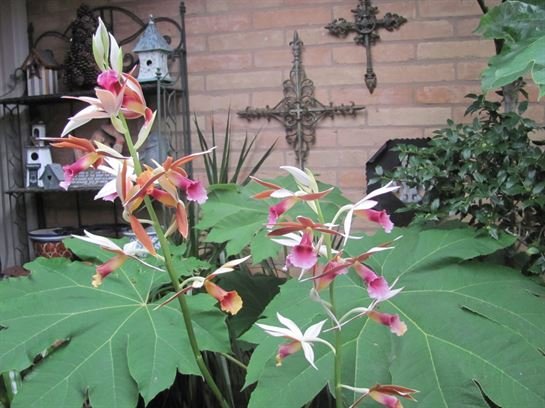 Dean Barrios - Photo 29