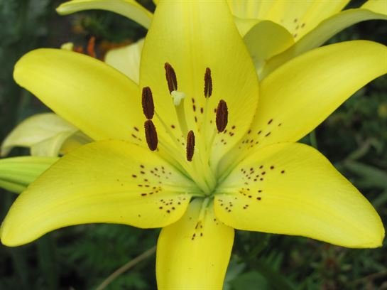 Dean Barrios - Photo 32