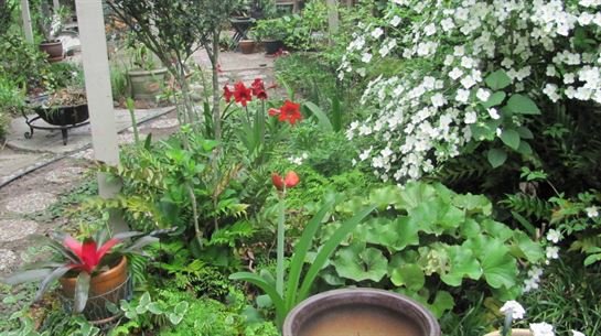 Dean Barrios — photo 33