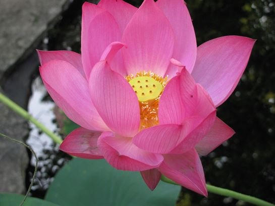 Dean Barrios — photo 34