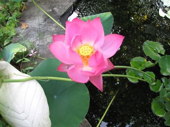 Dean Barrios - Photo 35