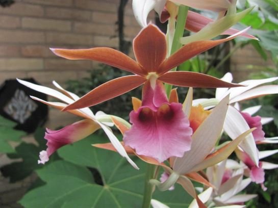 Dean Barrios - Photo 36