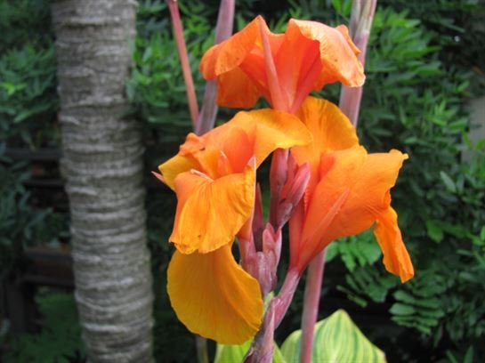 Dean Barrios — photo 41