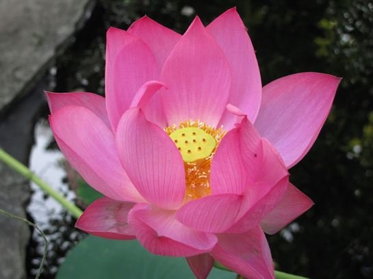 Dean Barrios — photo 46