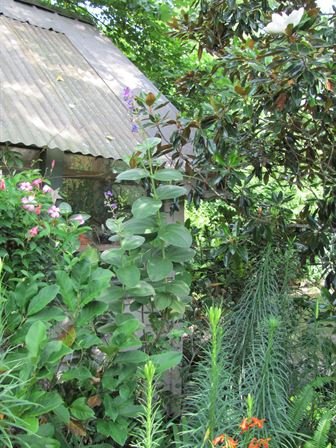 Dean Barrios — photo 47