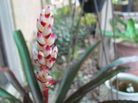 Dean Barrios — photo 49