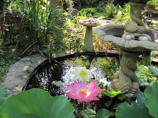 Dean Barrios — photo 50