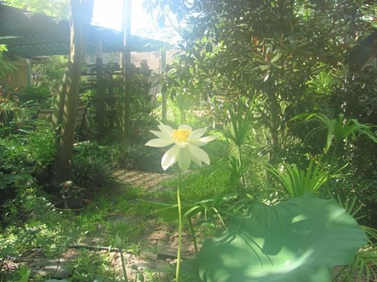 Dean Barrios - Photo 60