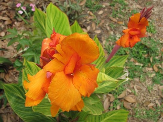 Dean Barrios - Photo 69