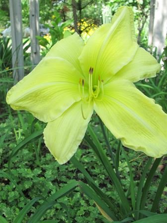 Dean Barrios - Photo 74