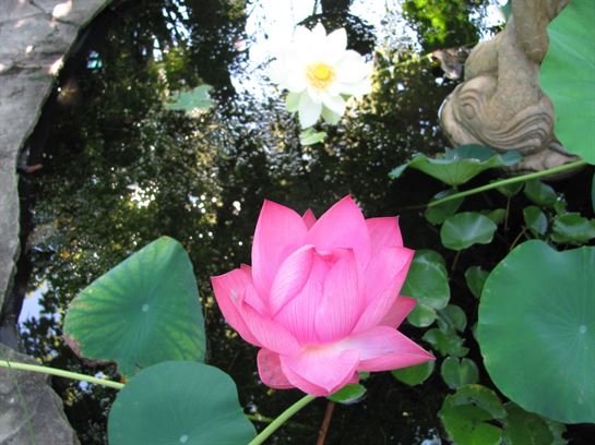 Dean Barrios — photo 94