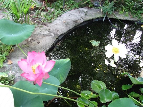 Dean Barrios — photo 95