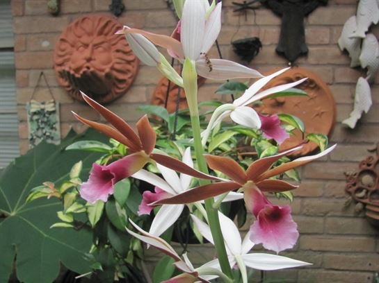 Dean Barrios — photo 97