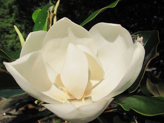 Dean Barrios - Photo 101