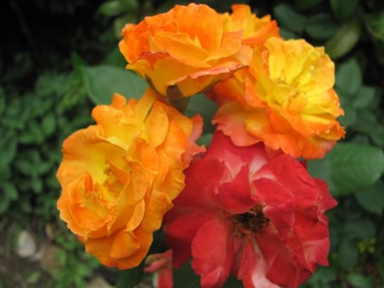 Dean Barrios — photo 119