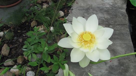 Dean Barrios — photo 121