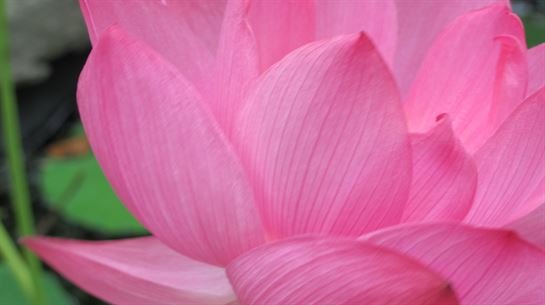 Dean Barrios — photo 124