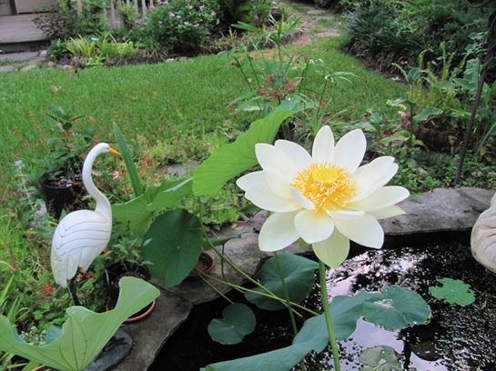 Dean Barrios — photo 125