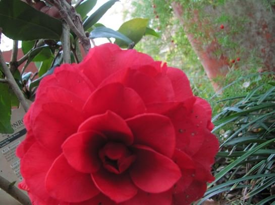 Dean Barrios - Photo 129