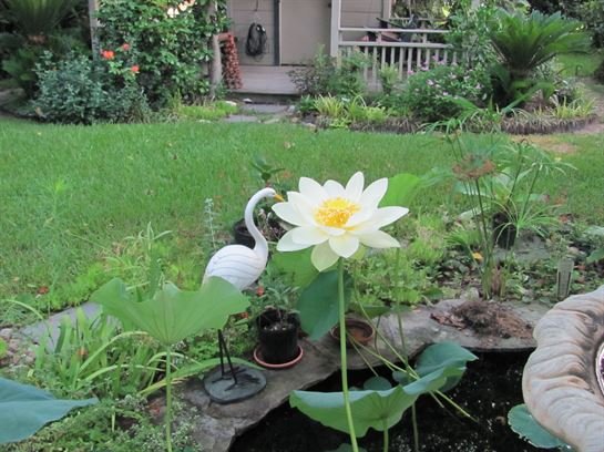 Dean Barrios - Photo 133