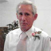 Robin Spencer Boyle - Photo 7