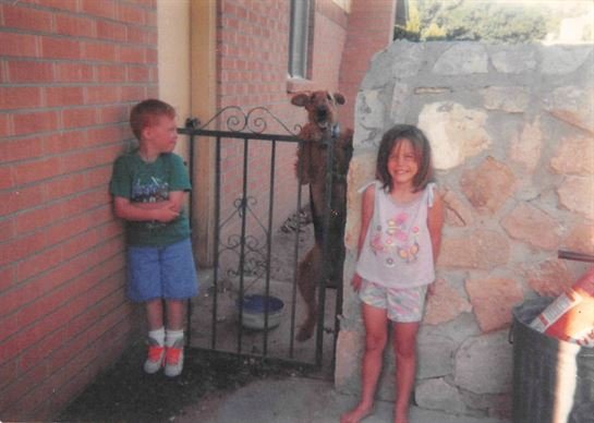 Dolly DeLeon - Photo 47