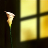 Dan Doiron - Photo 2