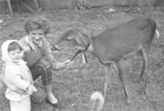 Betty Jean Martin - Photo 61