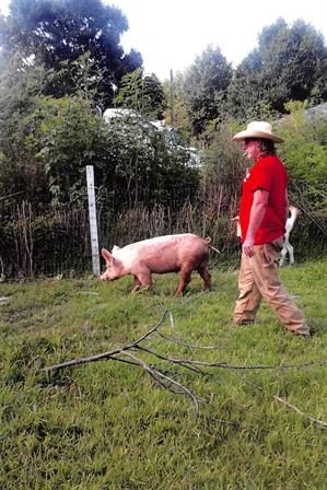 Darrel Wayne Fox - Photo 8