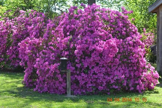 Jenean Van Benthuysen - Photo 27