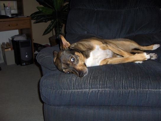 Jenean Van Benthuysen - Photo 28