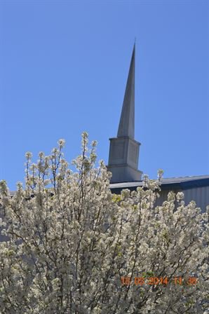 Jenean Van Benthuysen - Photo 49