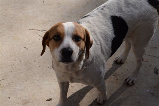 Jenean Van Benthuysen - Photo 60