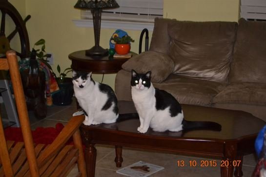 Jenean Van Benthuysen - Photo 68