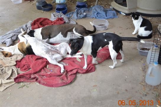 Jenean Van Benthuysen - Photo 85