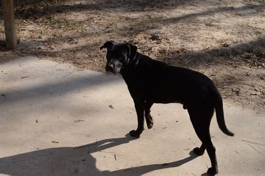 Jenean Van Benthuysen - Photo 87