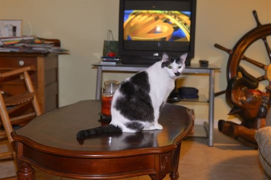 Jenean Van Benthuysen - Photo 108