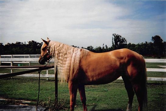 Laura Beth Miller - Photo 10