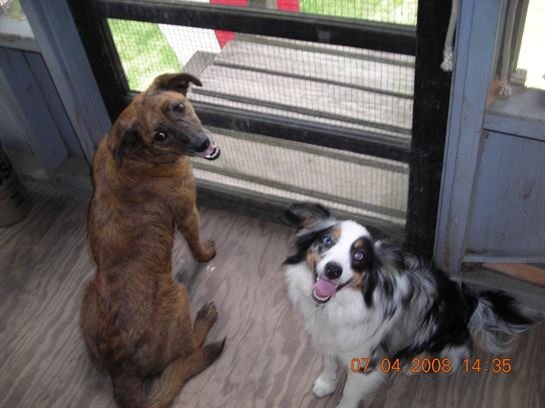 Stan Armstrong - Photo 53