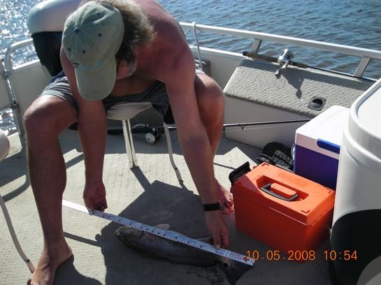 Stan Armstrong - Photo 77