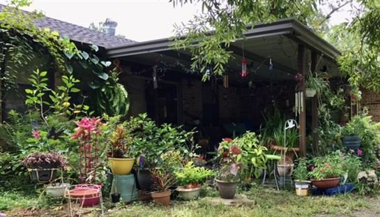 Myra Jane Taylor Hutto - Photo 37